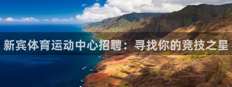 球王会体育