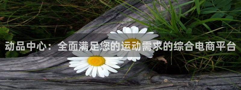 球王会体育
