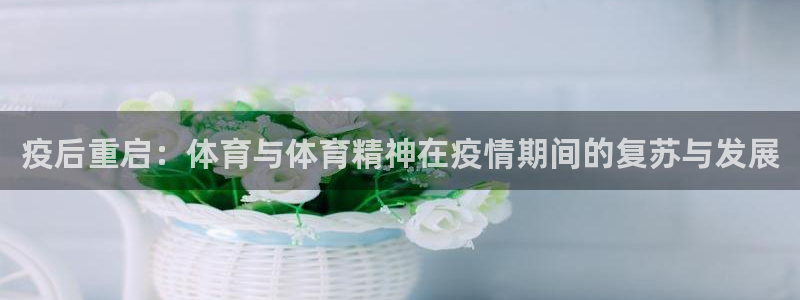 球王会体育
