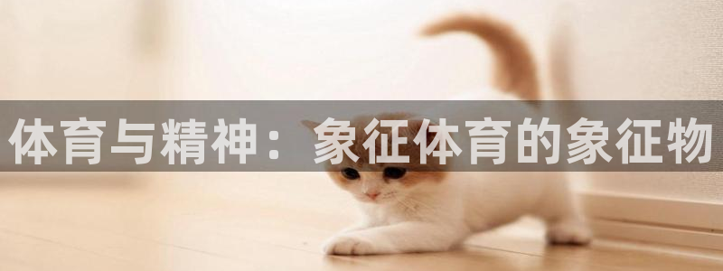 球王会体育