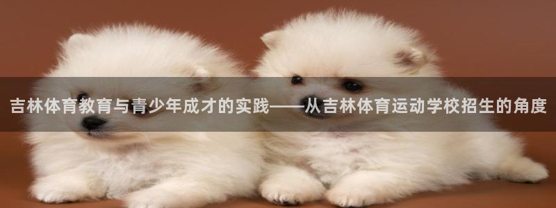 球王会体育