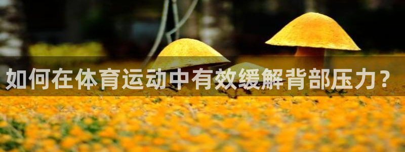 球王会体育：如何在体育运动中有效缓解背部压力？