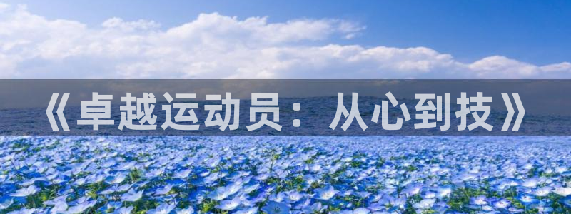 球王会体育