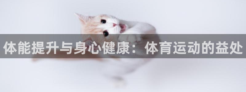 球王会体育