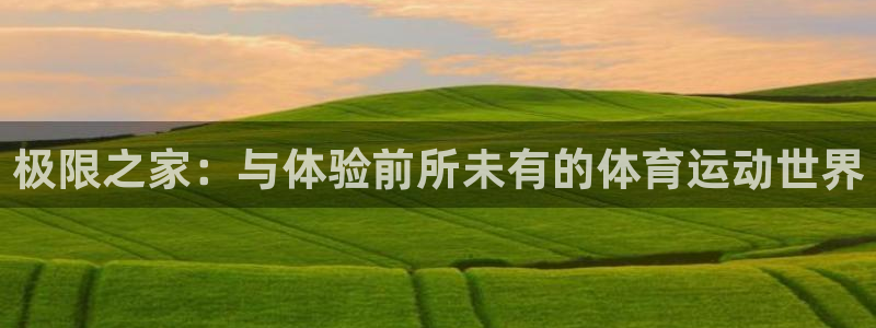球王会体育