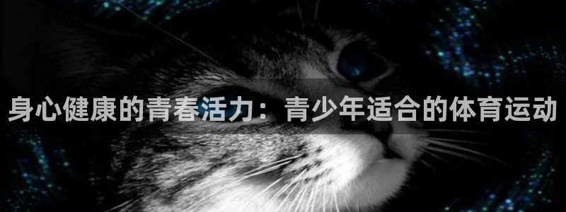 球王会体育