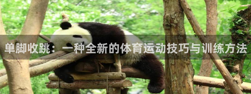 球王会体育：单脚收跳：一种全新的体育运动技巧与训练方法