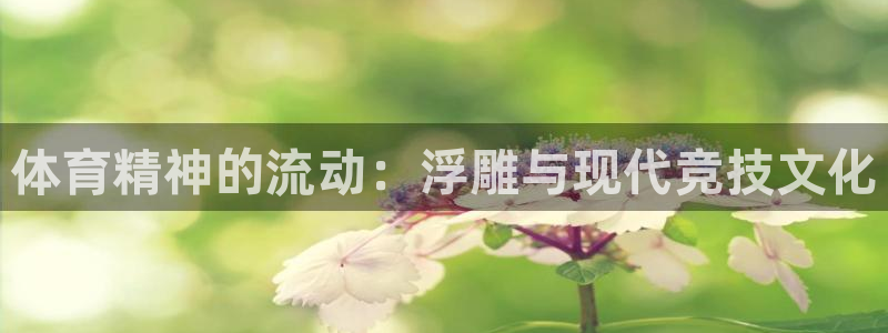 球王会体育：体育精神的流动：浮雕与现代竞技文化
