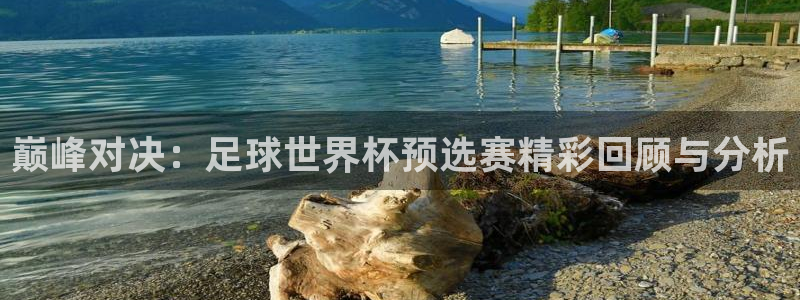 球王会体育