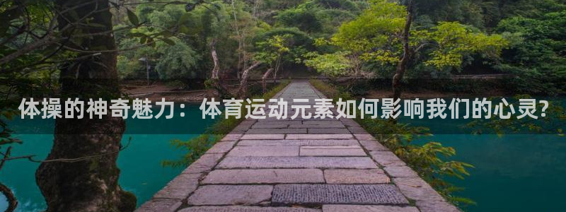 球王会体育