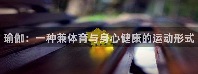 球王会体育