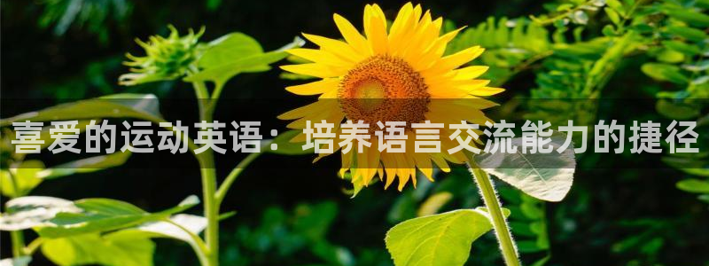 球王会体育